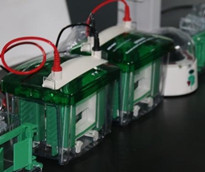 實(shí)驗(yàn)交給威斯騰，科研從此無(wú)憂——腺病毒實(shí)驗(yàn)技術(shù)服務(wù)詳解